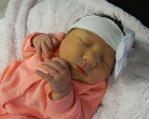 Hadley Quinn