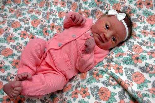 Lucy Anne
