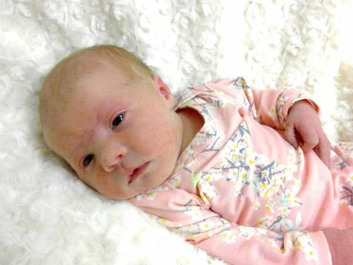 Braylee Anna