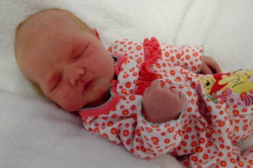 Josephine Rae Lynn