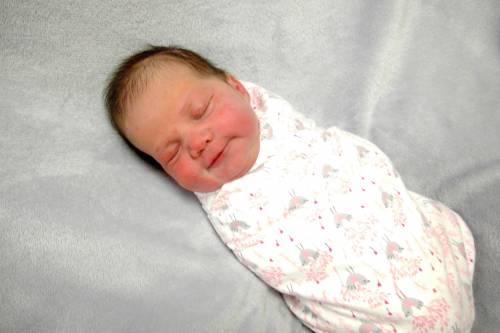 Camilla June Rose